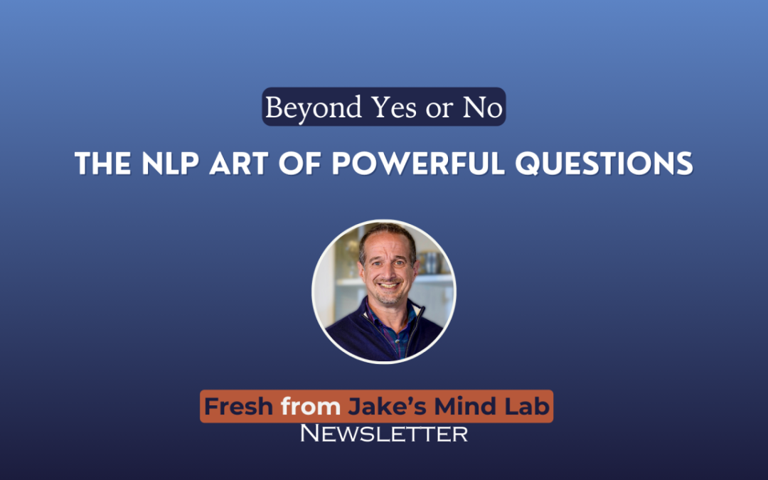 Meta Model: The NLP Art of Powerful Questions